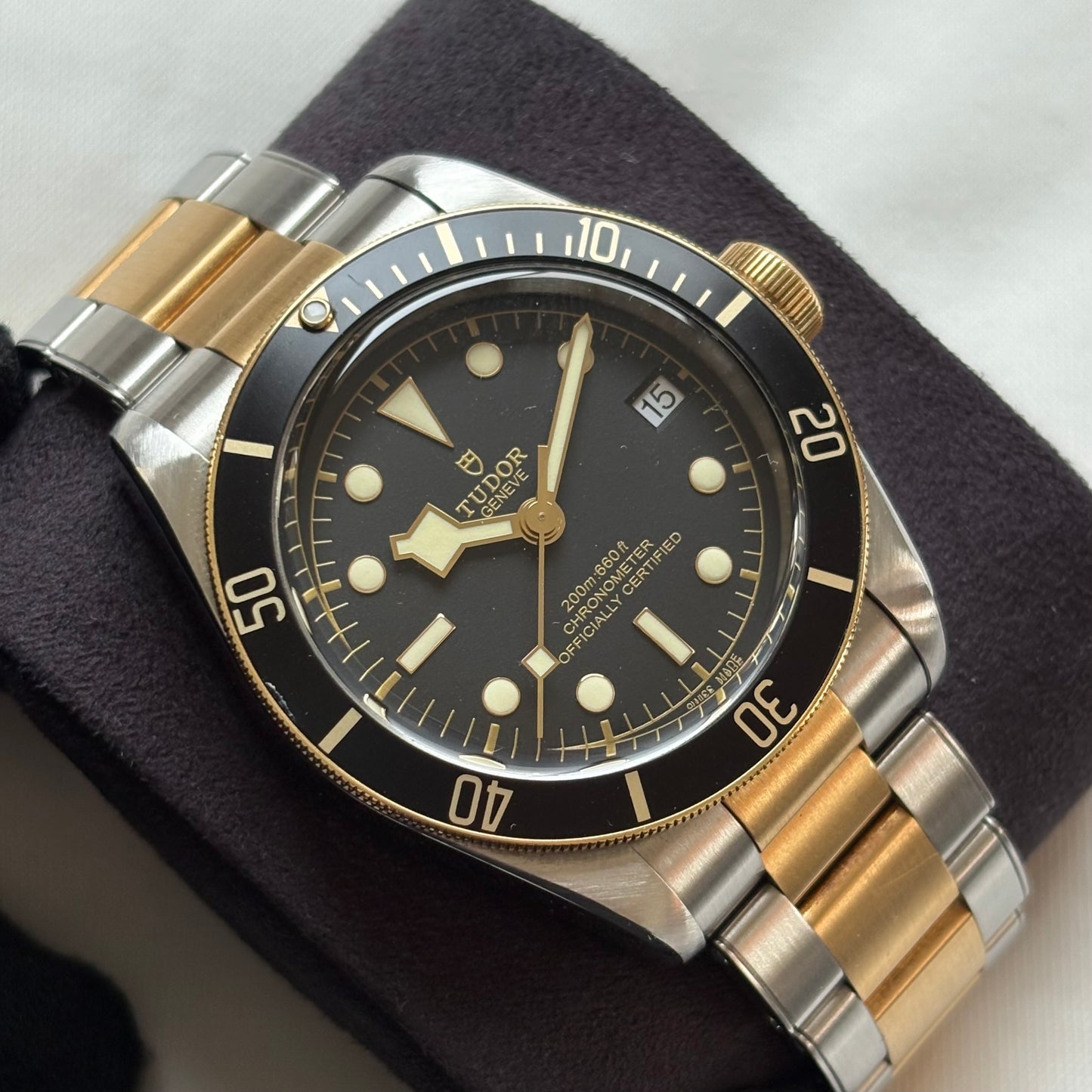 Tudor Black Bay S&G Year 2018 M79733N-0008