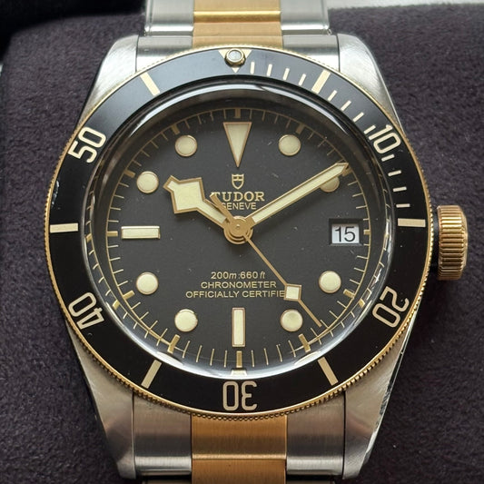 Tudor Black Bay S&G Year 2018 M79733N-0008