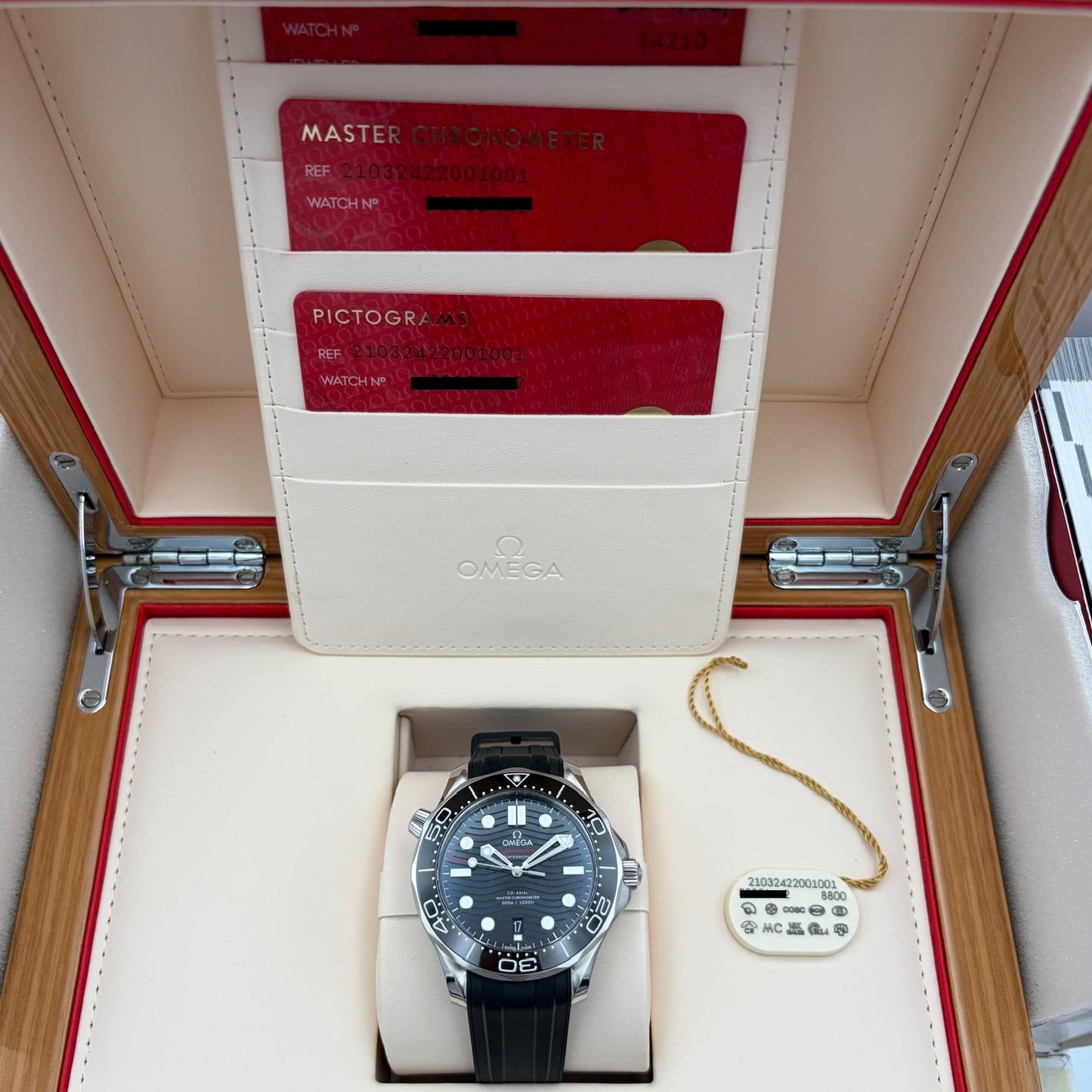 Omega Seamaster Diver 300M Co-Axial Master Chronometer 42mm 210.32.42.20.01.001